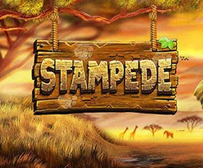 Stampede super Jackpot